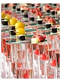 Perfect catering