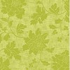 11158980 Venezia Green
