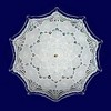 20372_paraple