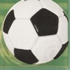 1027302 ubrousek fotbal