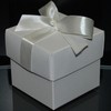 22004_svatebn� krabi�ka champagne