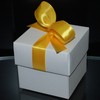 22004_svatebn� krabi�ka �lut� stuha