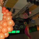 Projekce pod�l s�lu
