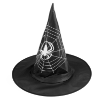 Karnevalov klobouk arodjnick pavouk 1 ks