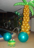 balonky hawaii