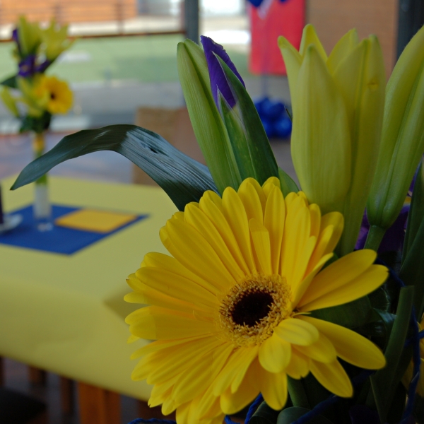 Květiny v barvě party