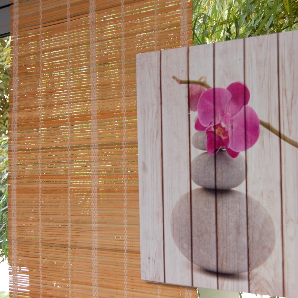 Roho�e a thajsk� motivy