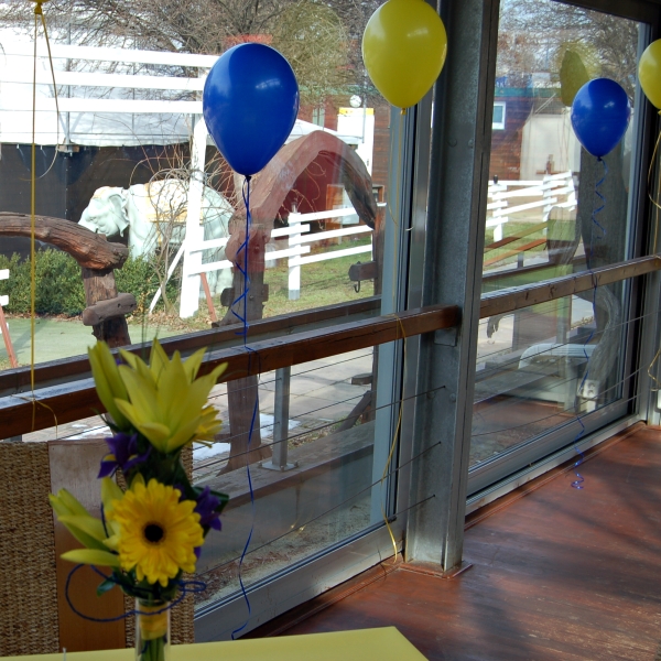 Výhled na Vltavu a plážové bary