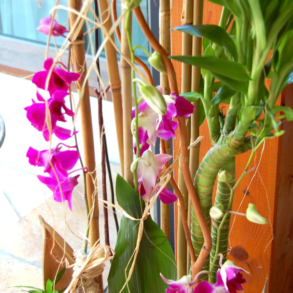 Kv�tinov� aran�e