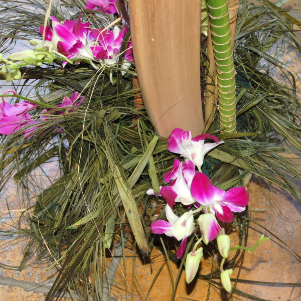 Kv�tinov� aran�e