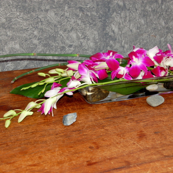 Kv�tinov� aran�e