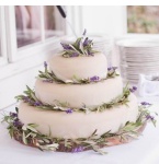 Lemon Original Cakes