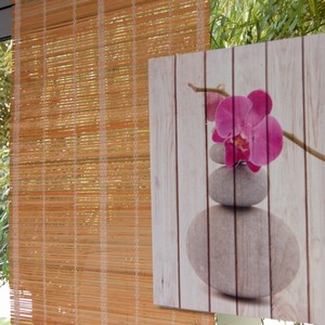 Roho�e a thajsk� motivy