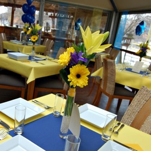 Modr bar v narozeninovm 