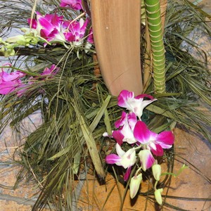 Kv�tinov� aran�e