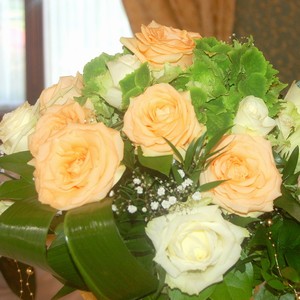 Meru�kov� a smetanov� r��e