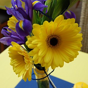 Kvtinov arane na stl