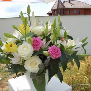 Kv�tinov� aran�