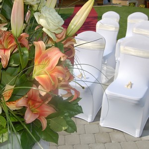 Dekorace ob�adn�ho m�sta