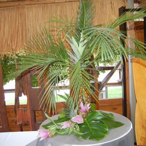 Stylov vyzdoben raut