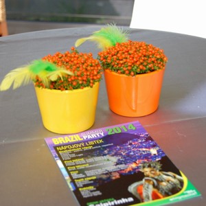 Dekorace bistro stolk