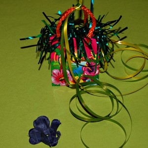 Ttko na balonky Hawaii