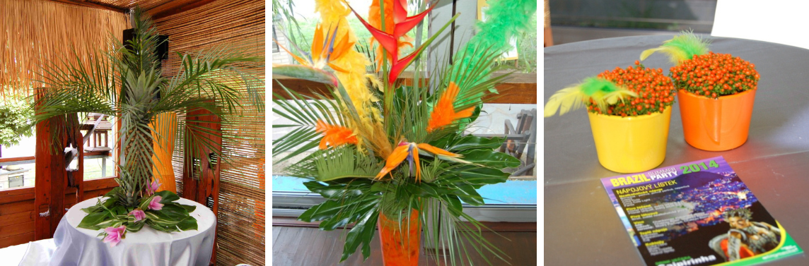 1 Akce_zlute_lazne_event