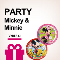 Disney party MICKEY & MINNIE