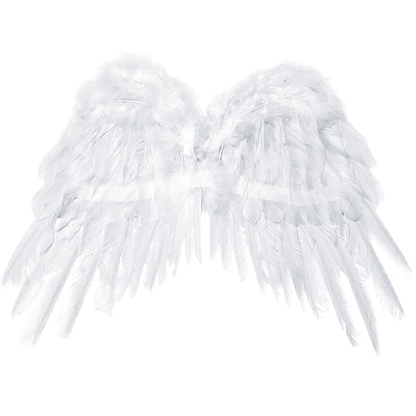 Andělská křídla 53x37 cm