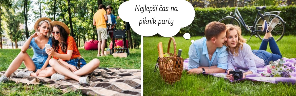 1_piknik_party