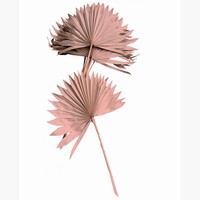 DEKORAČNÍ palmové listy pudrově růžové 55cm 10ks