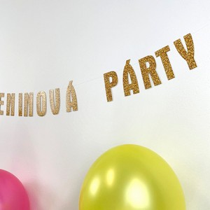 Narozeninova_party