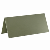 Jmenovky na stůl zelené 7x3cm 10ks