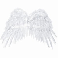 Křídla andělská 53x37 cm