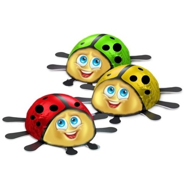 Čokoládové berušky - velký party box 100 ks