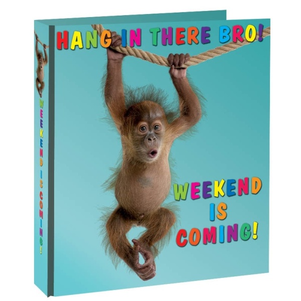 Pořadač 2-kroužkový Opička A4