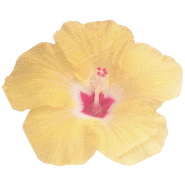 Tropical party - Ubrousky papírové Květ ibišku 16,5 x 16,5 cm 16 ks