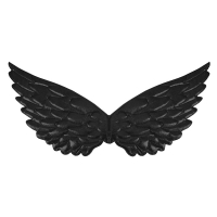 Andělská křídla černá 44x22 cm
