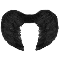 Andělská křídla černá 54x37 cm