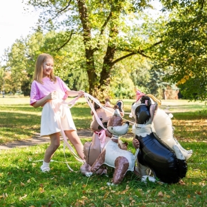 Balnek fliov stojac Border kolie s epic 76x92cm