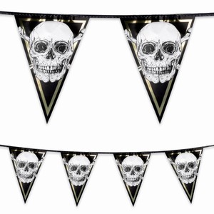 BANNER vlajekov Lebka