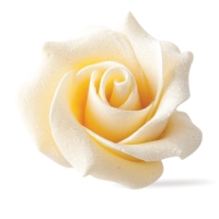 Čokoládové růže na dort perleťově bílé 45 x 30 mm 15 ks