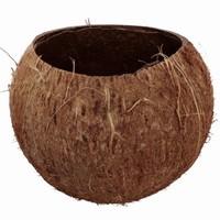 DEKORACE Kokosový ořech 13x10cm