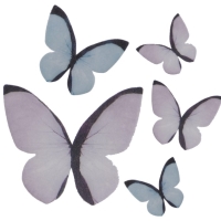Dekorace na dort z jedlého papíru Motýlci pastel 3-6 cm 79 ks