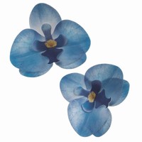 Dekorace na dort z jedlého papíru Orchidej modrá 8,5 x 7,5 cm 10 ks