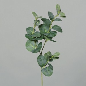 EUCALYPTUS větvička 64 cm 1 ks