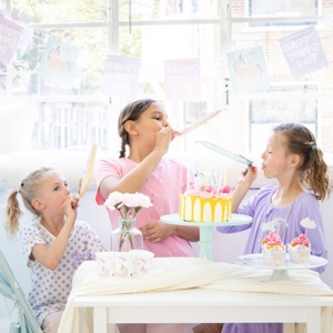 Frkaky Jednoroec a duha 24cm 6ks