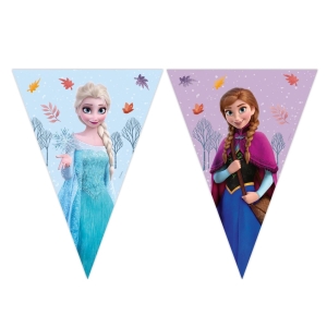 Girlanda vlajekov Frozen