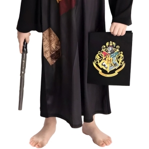 Kost�m d�tsk�  �arod�j, vel 110/120 cm