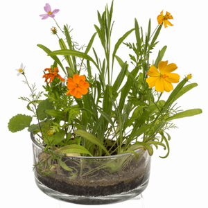 Květiny v plechovce